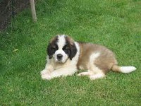 /album/fotos-y-videos/images-4-jpg1/